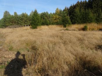 Tocht Stappen Habay - Le grand ruisseau - Photo