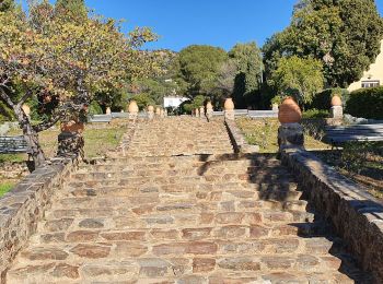 Tour Wandern Rayol-Canadel-sur-Mer - rayol jardin - Photo