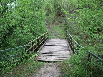 Tour Zu Fuß Bagno di Romagna - IT-BT7 - Photo