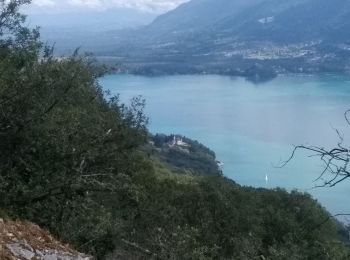 Tocht Wegfiets Le Bourget-du-Lac - Tour du lac du Bourget par ontex - Photo