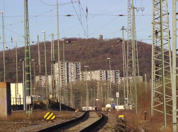 Tocht Te voet Onbekend - Rundweg A8 Homberger Höhenweg (Hasper Stadtwald) - Photo