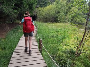 Excursión Senderismo Olby - J3 : Olby - lac de Servières - Photo