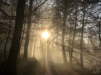 Excursión A pie Desconocido - NaturZeitReise 4 - Verborgene Zeitzeichen - Photo