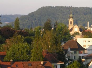 Tour Zu Fuß Brugg - Brugg-Hilfswehr NOK - Photo