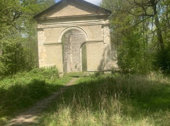 Tocht Stappen Les Essarts-le-Roi - Étangs de Hollande - Photo