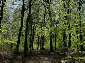 Tour Zu Fuß Wedemark - Bewegte Steine-Der Geo Erlebnispfad - Photo