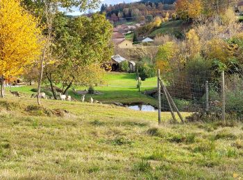 Randonnée Marche Vieux-Moulin - Vieux-Moulin 