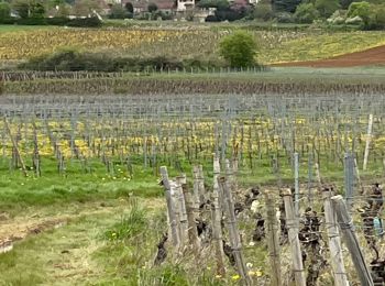 Randonnée Marche Mellecey - Randonnée les amis d’Albert  - Photo