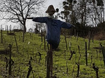 Trail Walking Buzet-sur-Baïse - Buzet - Photo