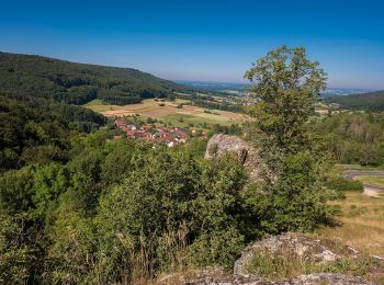 Trail On foot Scheßlitz - Rundweg / Gügel - Tiefenellern - Photo