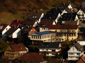 Excursión A pie Forbach - Hölleweg - Photo