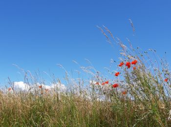 Randonnée Vélo de route Bourg-de-Péage - Étoile-sur-Rhône les Clévos  - Photo