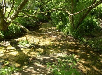 Tour Zu Fuß Halle (Westf.) - Haller Rundweg A6 - Photo