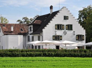 Tocht Te voet Winterthur - Winterthur Wülflingen - Neftenbach - Photo