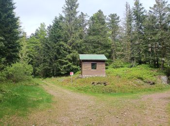 Randonnée Marche Le Ménil - Circuit Le Ménil - Chalets du Rouleux / Baigneux - Photo
