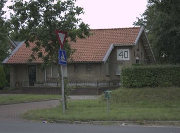 Trail On foot Woudenberg - Oudenhorsterpad - Photo