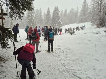 Tocht Sneeuwschoenen Giron - giron - Photo