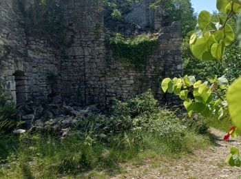 Excursión Senderismo Grospierres - Résurgence de font vieille Grospierres - Photo