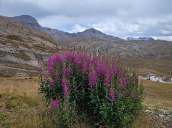 Trail Walking Bonneval-sur-Arc - pointe et aiguille Pers - Photo