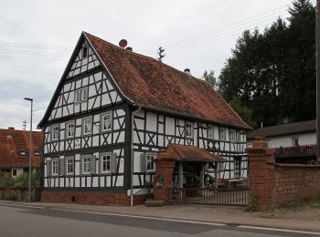 Randonnée A pied Bobenthal - Hirzeck-Gipfel-Steig - Photo