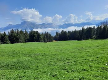 Excursión Senderismo Combloux - cuchet -sommet des Salles -cuchet - Photo