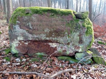 Randonnée A pied Neckarsteinach - Rundwanderweg Neckarsteinach Kreuzschlag 4: Felsenmeer-Weg - Photo