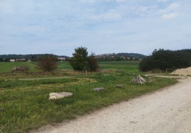 Tocht Stappen Lay-Saint-Christophe - La Bouzoule - Photo