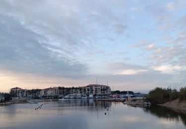 Tour Wandern Argelès-sur-Mer - raccou - plage de l'ouillet par terre, retour par sentier littoral - Photo