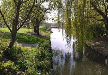 Tocht Stappen Groot-Sinten - grande synthe grandeur nature - Photo