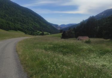 Tocht Stappen Châtillon-en-Diois - vallon de combau  - Photo