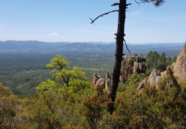 Trail Walking Bagnols-en-Forêt - les gorges du Blavet par la pierre du coco et les meule - Photo