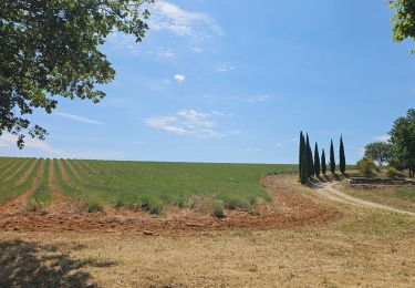 Percorso Cicloturismo Roussillon - Luberon jour 2 - Photo