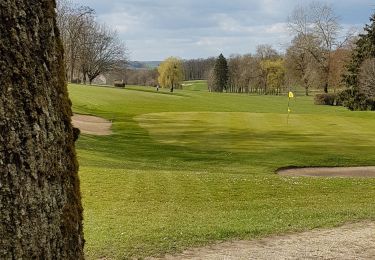 Randonnée Marche Vittel - Vittel 11 : Les golfs - Photo