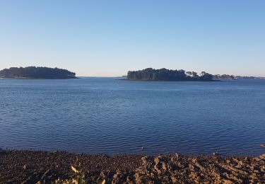 Randonnée Marche Larmor-Baden - LARMOR BADEN les 7 îles  - Photo