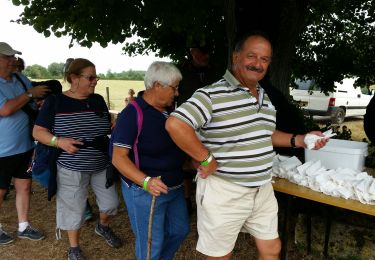 Randonnée Marche Nieul-lès-Saintes - nieul les saintes - Photo