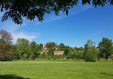 Trail Walking Mont-Saint-Père - Mont st Père du 29/05/2021 - Photo