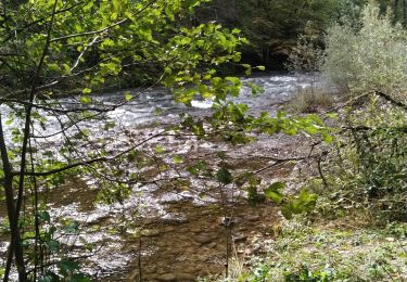 Excursión Senderismo Savignac-les-Ormeaux - balade autour de l' Ariège  - Photo