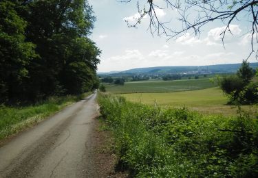 Tour Mountainbike Wirten - Avioth et sa basilique Notre-Dame  - Balade_VTT_34kms - Photo