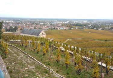 Trail Walking Nuits-Saint-Georges - telethon nsg - Photo