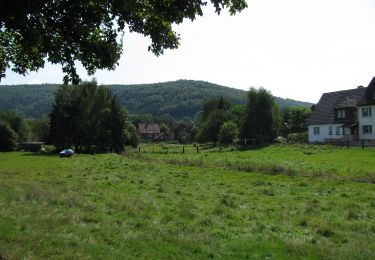 Tocht Te voet Fuldatal - Steinköhlerpfad - Photo