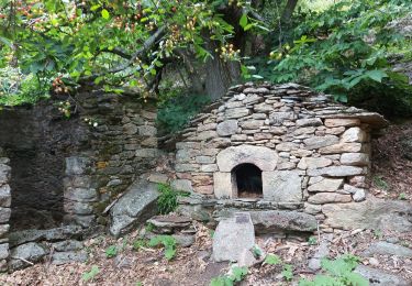 Tocht Stappen Mons - chapelle St Martin du froid - Photo