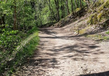 Randonnée Marche Châtel-Guyon - VALLEE DE SANS SOUCI - Photo