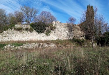 Trail Walking Mazaugues - Le Mourre d Agnis - Photo