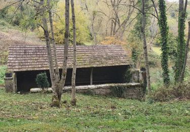 Trail Walking Savigny-lès-Beaune - Savigny - Combe Portaut - Photo
