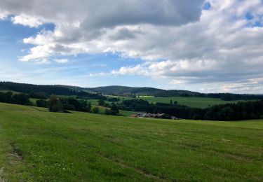 Tocht Te voet Grafenhausen - Rappenfelsensteig - Photo