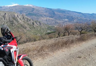 Randonnée Moto-cross Molvízar - Movizar   Pinos del Valle   Ruta Cabras - Photo