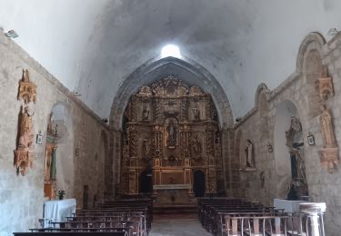 Tocht Stappen Montferrer - montferrer . El castel . Puiq de volafort .. retour par la piste  - Photo