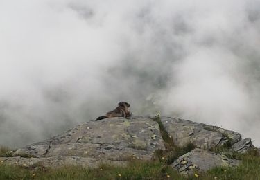 Excursión Senderismo Val-Cenis - Lacs de Bellecombe - Photo