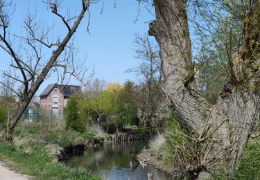 Tour Wandern Juprelle - Paifve - Mal - Paifve  - Photo