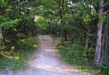 Excursión Carrera Veynes - Trail 11 - Les Eygaux - Photo